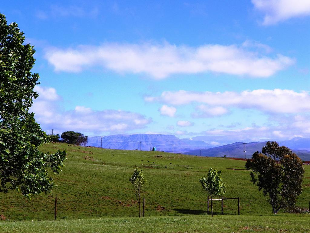 Blackbrook Farm Underberg Exteriör bild
