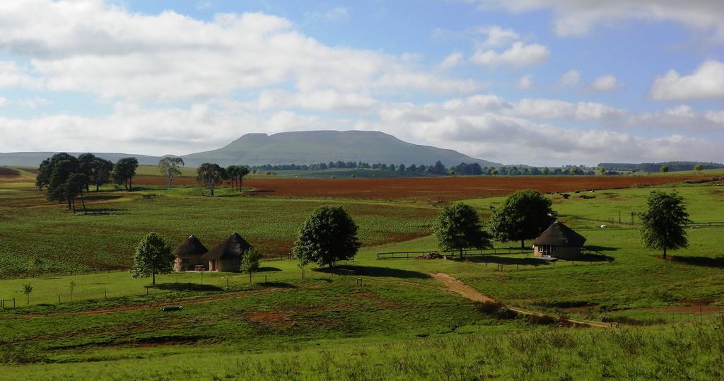 Blackbrook Farm Underberg Exteriör bild